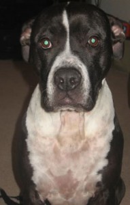 Josey
