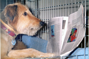 Milo asks that you read carefully!